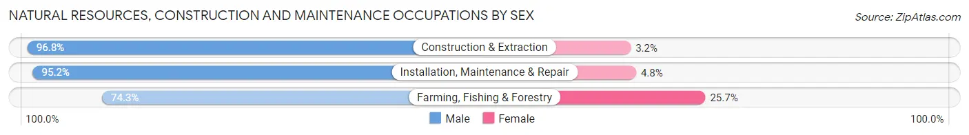 Natural Resources, Construction and Maintenance Occupations by Sex in Area Code 212