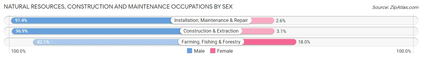 Natural Resources, Construction and Maintenance Occupations by Sex in Area Code 304