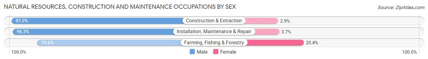 Natural Resources, Construction and Maintenance Occupations by Sex in Area Code 308