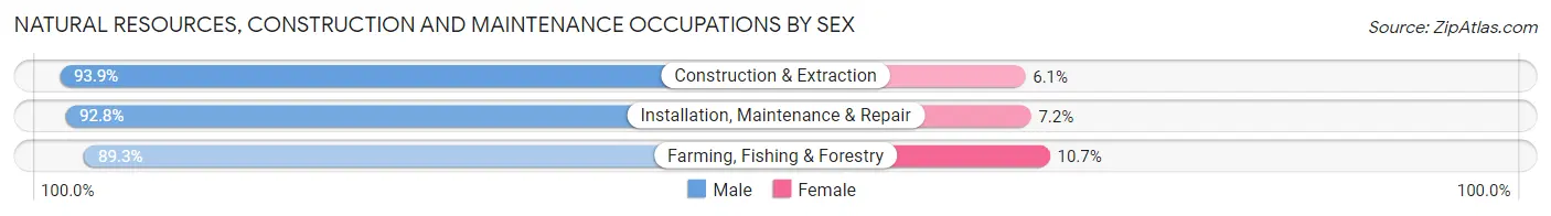 Natural Resources, Construction and Maintenance Occupations by Sex in Area Code 316
