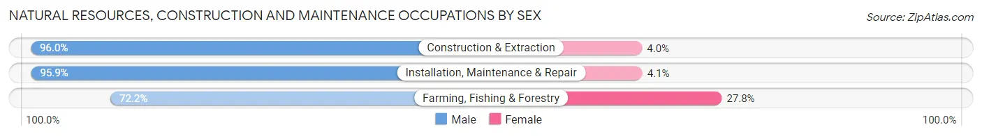 Natural Resources, Construction and Maintenance Occupations by Sex in Area Code 386