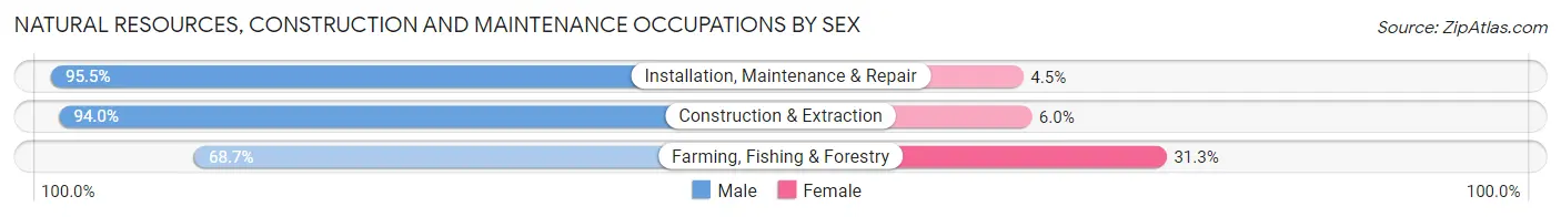 Natural Resources, Construction and Maintenance Occupations by Sex in Area Code 470