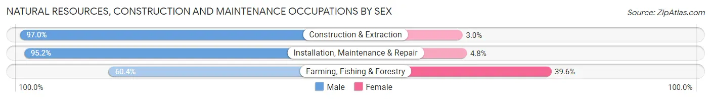 Natural Resources, Construction and Maintenance Occupations by Sex in Area Code 510