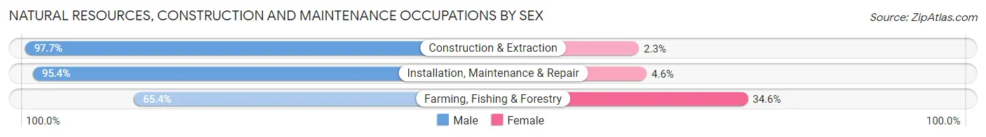 Natural Resources, Construction and Maintenance Occupations by Sex in Area Code 669