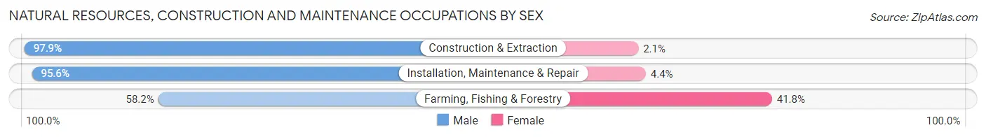 Natural Resources, Construction and Maintenance Occupations by Sex in Area Code 914