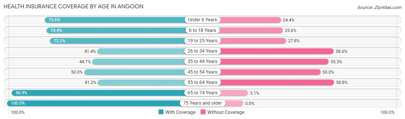 Health Insurance Coverage by Age in Angoon