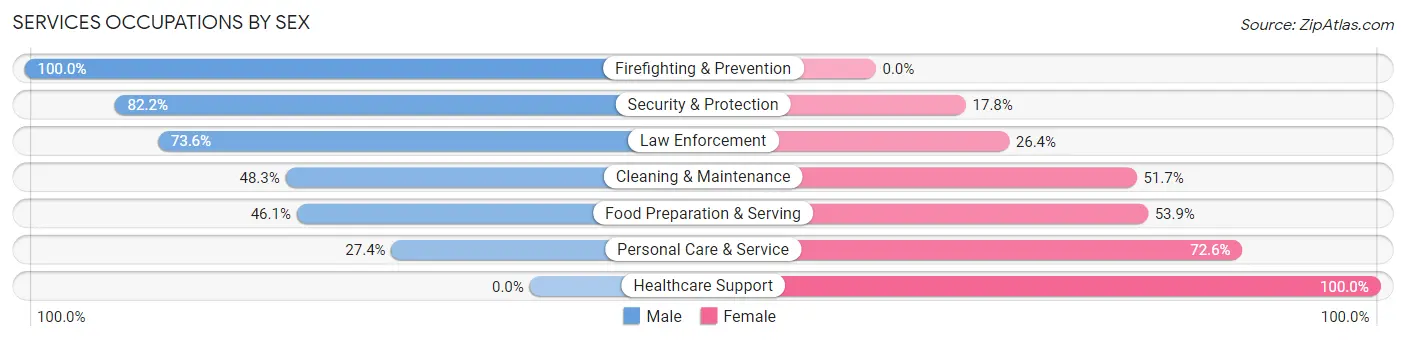 Services Occupations by Sex in Badger