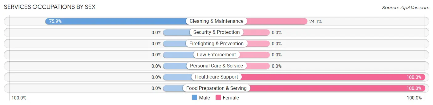 Services Occupations by Sex in Big Delta
