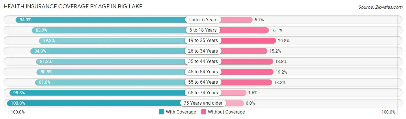 Health Insurance Coverage by Age in Big Lake
