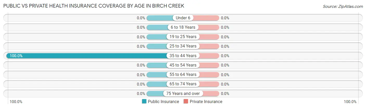 Public vs Private Health Insurance Coverage by Age in Birch Creek