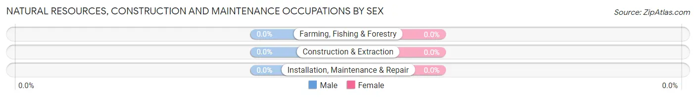 Natural Resources, Construction and Maintenance Occupations by Sex in Crown Point