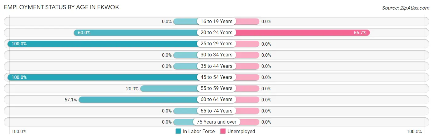 Employment Status by Age in Ekwok