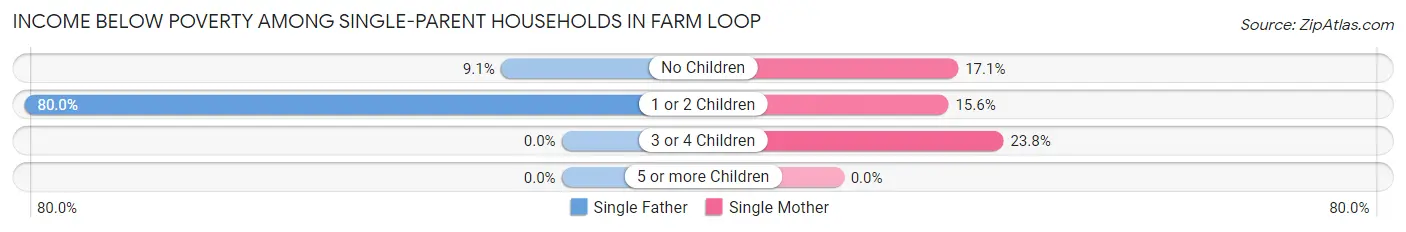 Income Below Poverty Among Single-Parent Households in Farm Loop