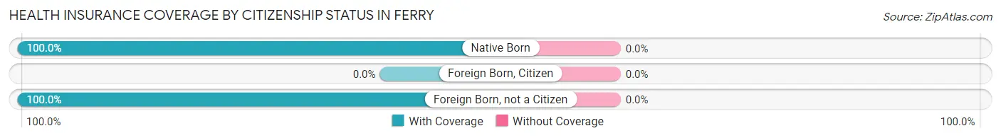 Health Insurance Coverage by Citizenship Status in Ferry