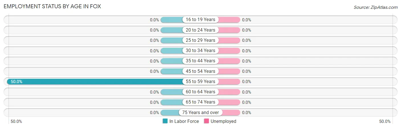 Employment Status by Age in Fox