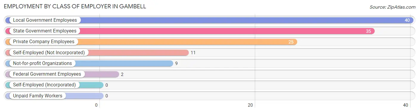 Employment by Class of Employer in Gambell