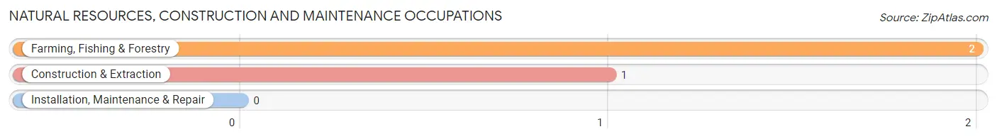 Natural Resources, Construction and Maintenance Occupations in Gambell