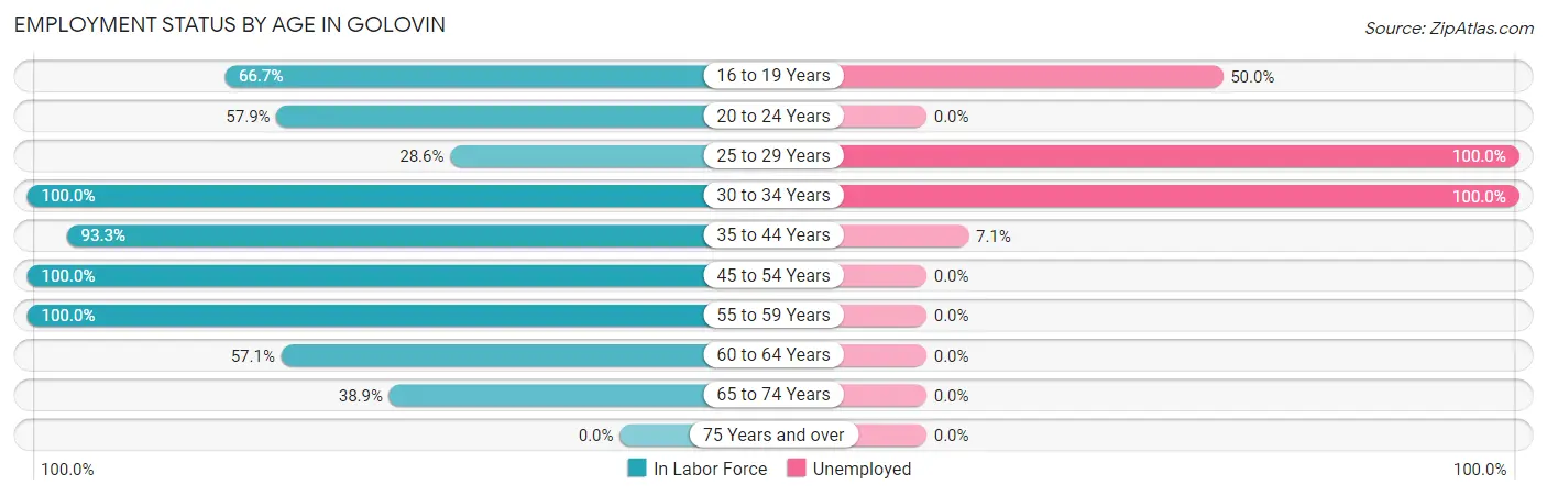 Employment Status by Age in Golovin