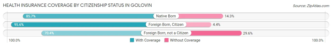 Health Insurance Coverage by Citizenship Status in Golovin