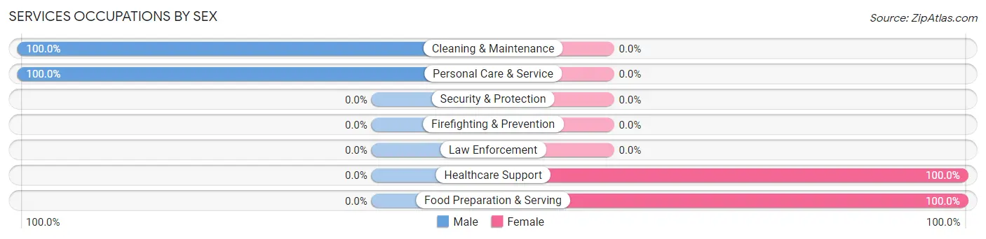 Services Occupations by Sex in Golovin