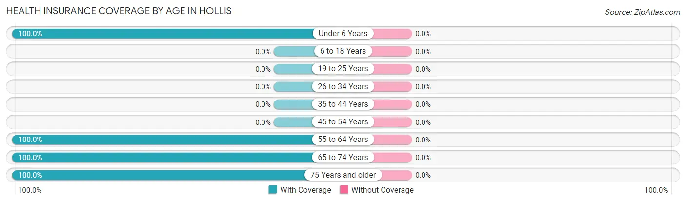 Health Insurance Coverage by Age in Hollis