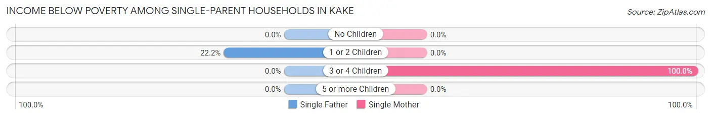 Income Below Poverty Among Single-Parent Households in Kake