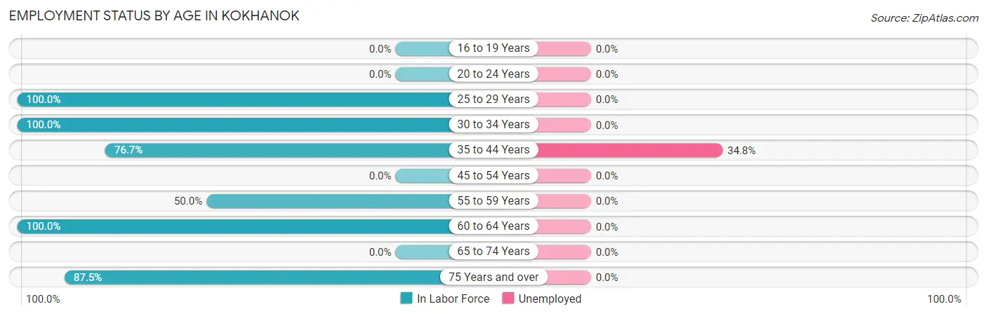 Employment Status by Age in Kokhanok