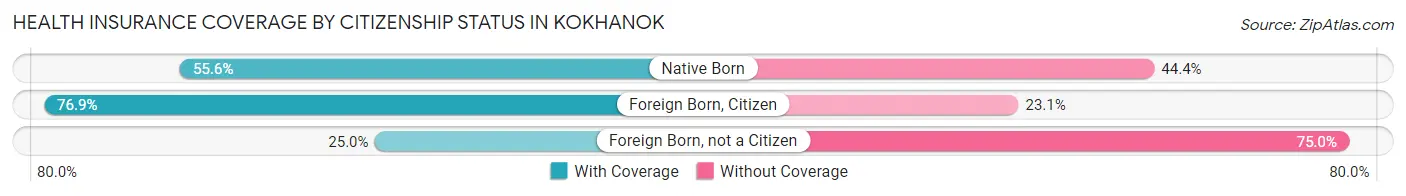 Health Insurance Coverage by Citizenship Status in Kokhanok