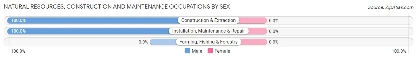 Natural Resources, Construction and Maintenance Occupations by Sex in Kokhanok