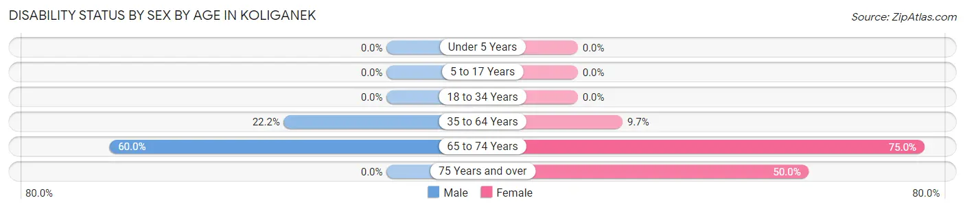 Disability Status by Sex by Age in Koliganek