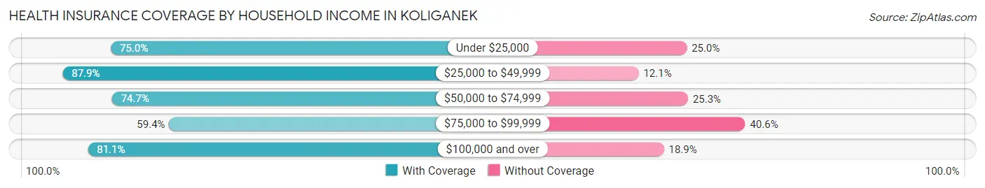 Health Insurance Coverage by Household Income in Koliganek