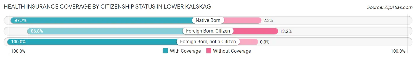 Health Insurance Coverage by Citizenship Status in Lower Kalskag