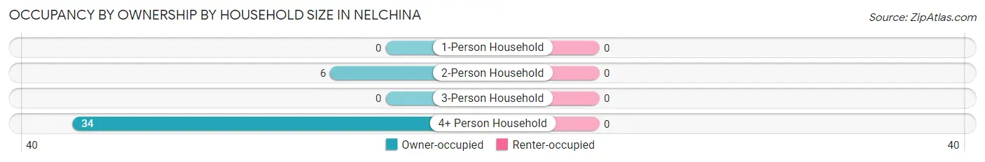 Occupancy by Ownership by Household Size in Nelchina