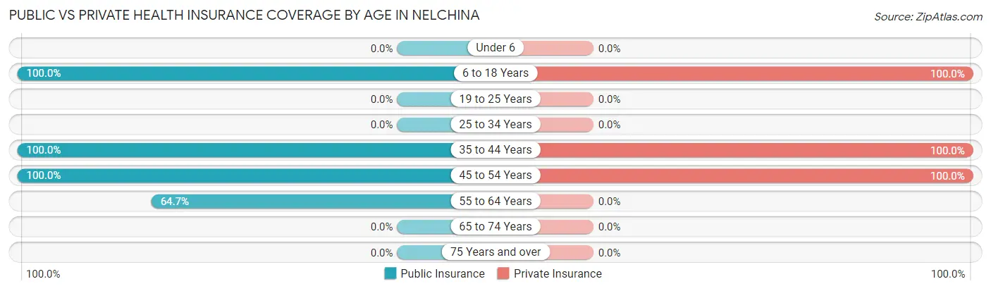 Public vs Private Health Insurance Coverage by Age in Nelchina