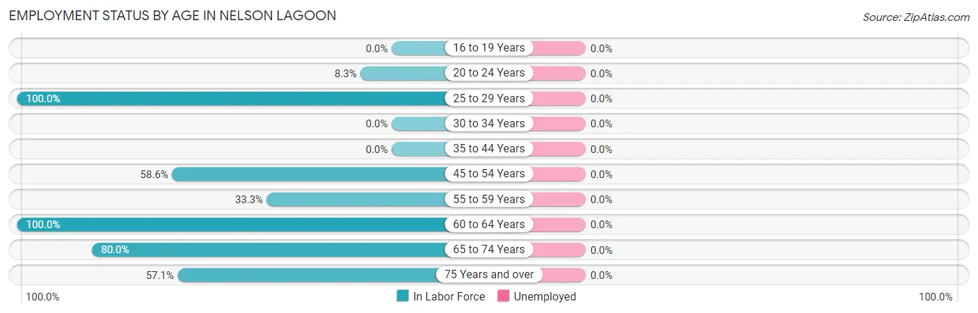 Employment Status by Age in Nelson Lagoon