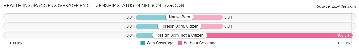 Health Insurance Coverage by Citizenship Status in Nelson Lagoon