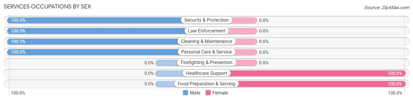Services Occupations by Sex in New Stuyahok