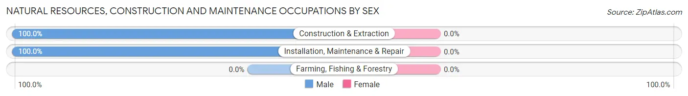 Natural Resources, Construction and Maintenance Occupations by Sex in Ouzinkie