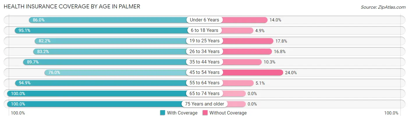 Health Insurance Coverage by Age in Palmer