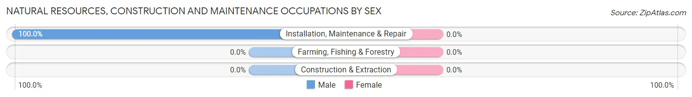 Natural Resources, Construction and Maintenance Occupations by Sex in Russian Mission