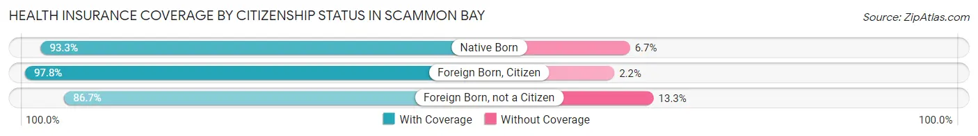 Health Insurance Coverage by Citizenship Status in Scammon Bay