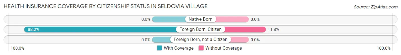 Health Insurance Coverage by Citizenship Status in Seldovia Village