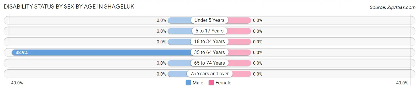 Disability Status by Sex by Age in Shageluk