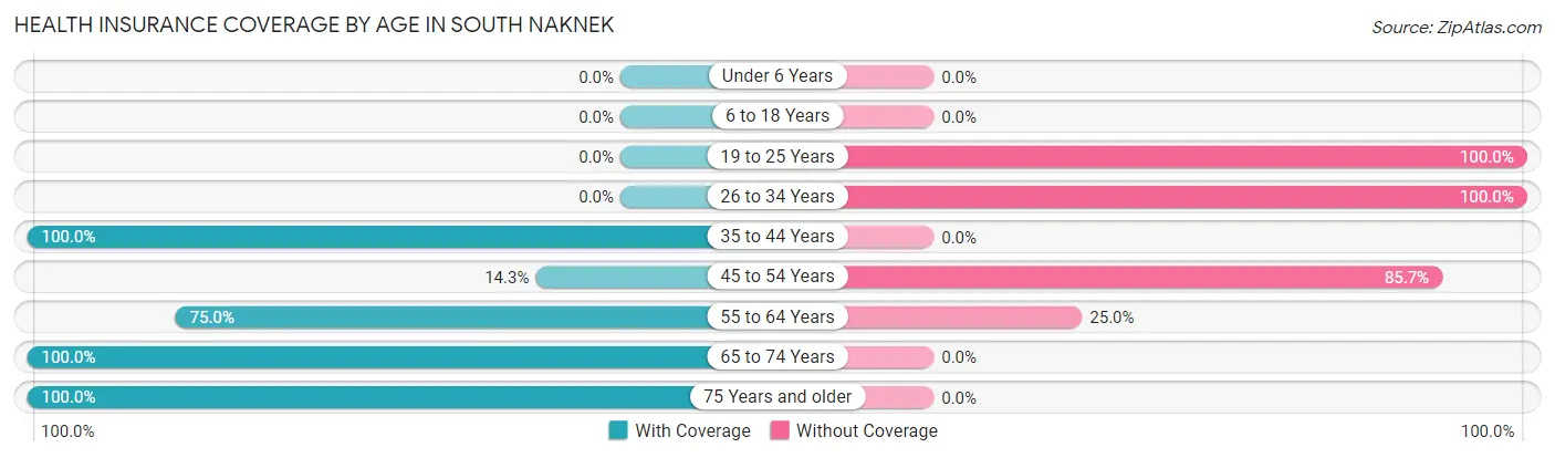 Health Insurance Coverage by Age in South Naknek