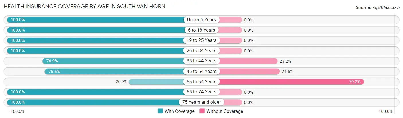 Health Insurance Coverage by Age in South Van Horn
