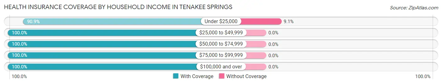Health Insurance Coverage by Household Income in Tenakee Springs
