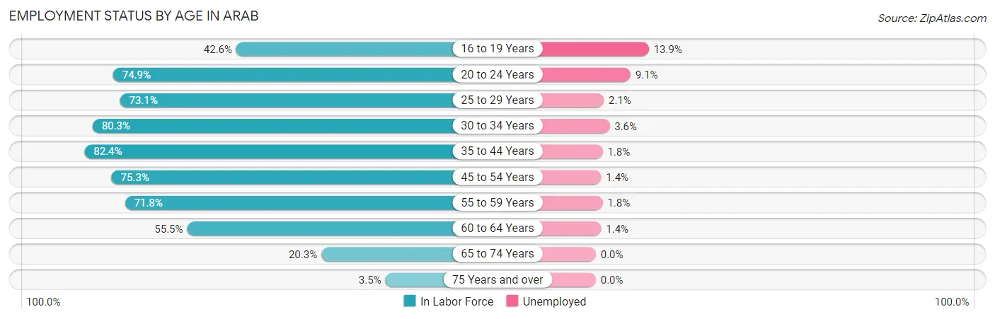 Employment Status by Age in Arab