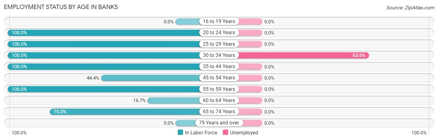 Employment Status by Age in Banks