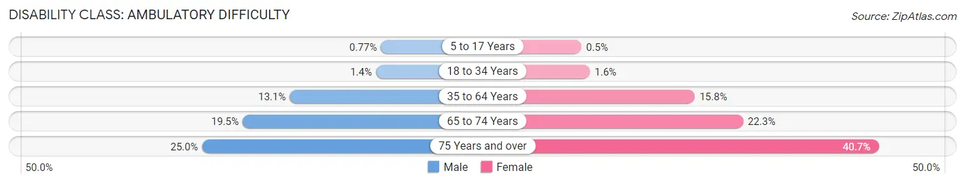 Disability in Birmingham: <span>Ambulatory Difficulty</span>