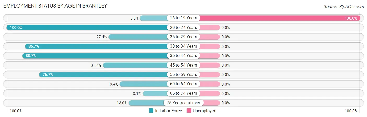 Employment Status by Age in Brantley